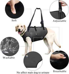 Coodeo Dog Lift Harness