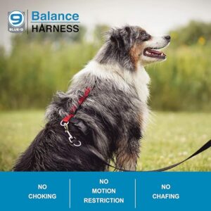 Blue9 Balance Dog Harness