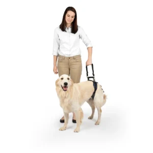 CareLift™ Rear Support Harness - large dog