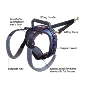 CareLift™ Rear Support Harness - detailed view