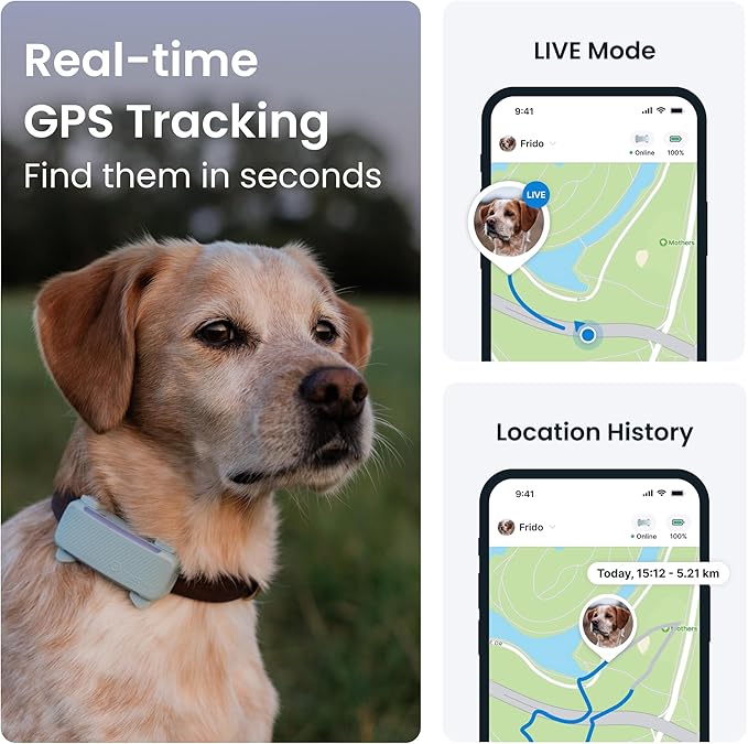 Tractive GPS dog tracker