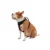 Top Paw® Neoprene Comfort Dog Harness