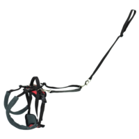 CareLift™ Rear Support Harness