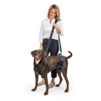 CareLift™ Orthopaedic Dog Harness